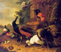 Melchior de Hondecoeter - Birds